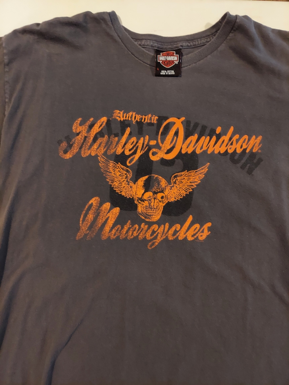 Womeb's Harley-Davidson Charcoal Tee with Orange Winged Skull Graphic